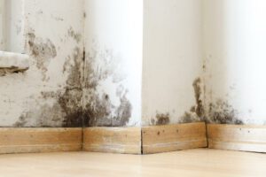 Rénovation maison